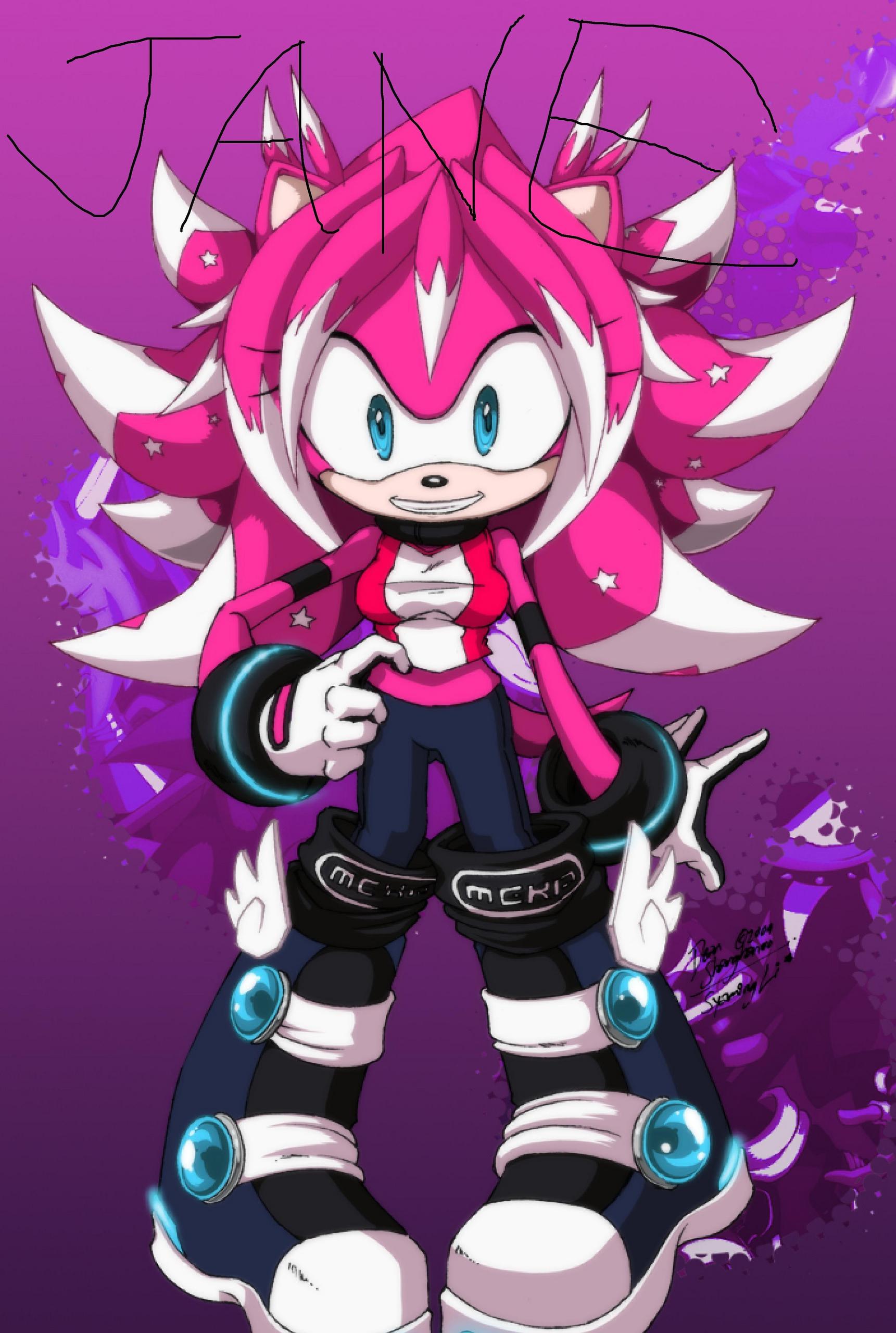 Nicole The Hedgehog Fan Fiction Wiki You Can Write And Show Your