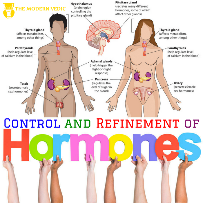 What Is A Hormone How Can We Control And Refine Hormones