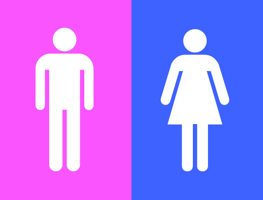 Binary Genders Gender Wiki Fandom Powered By Wikia