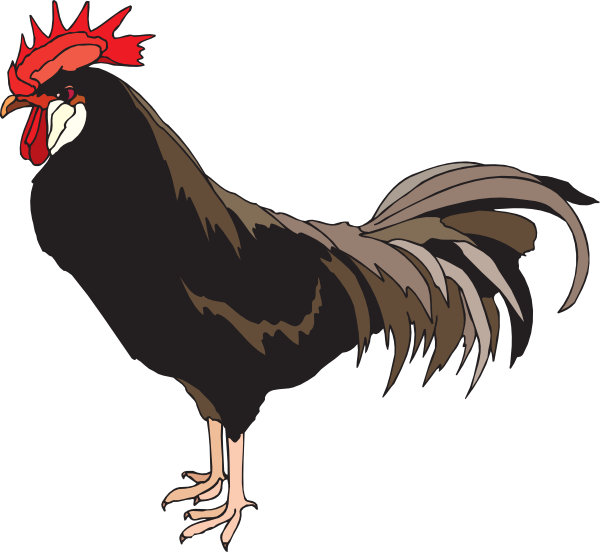 Brown Rooster Clip Art At Vector Clip Art