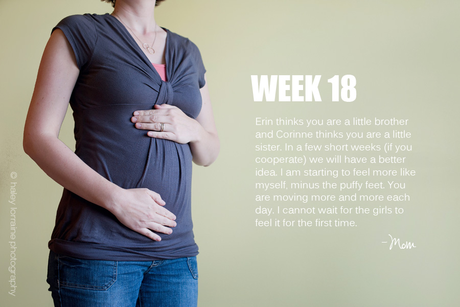 18 Weeks Pregnancy Series Haley Lorraine Photography