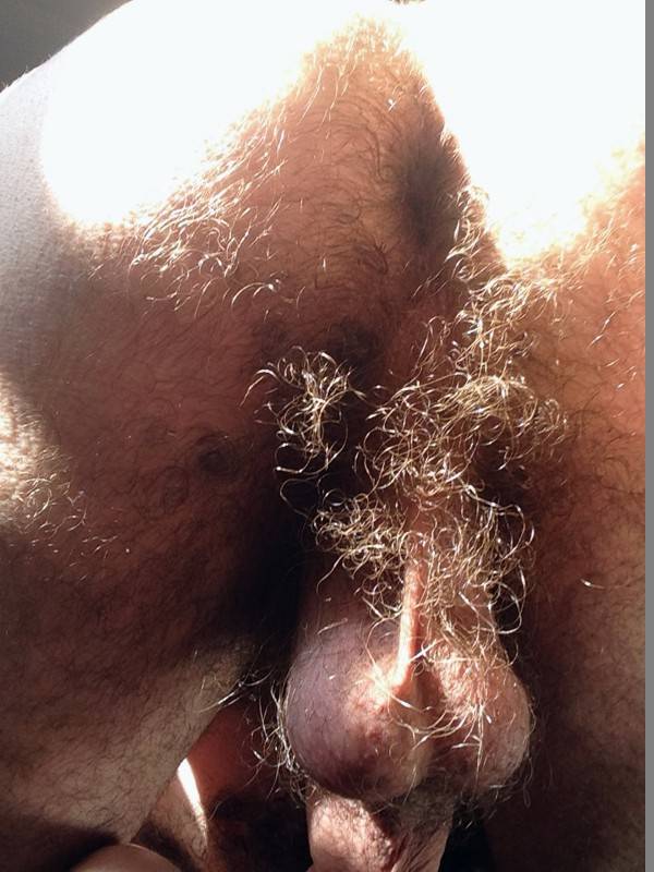 Fuck Yeah Hairy Taint Daily Squirt