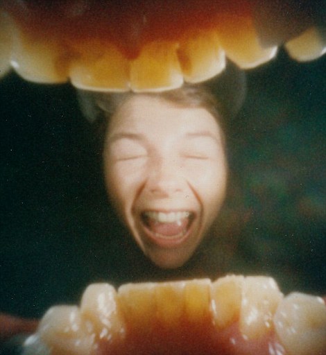 Pinhole Camera Takes Photos From Inside A Mans Mouth