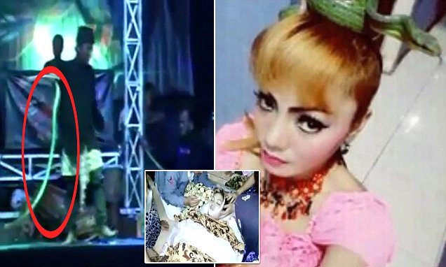Indonesian Popstar Carries On Performing Despite Being Bitten By Cobra