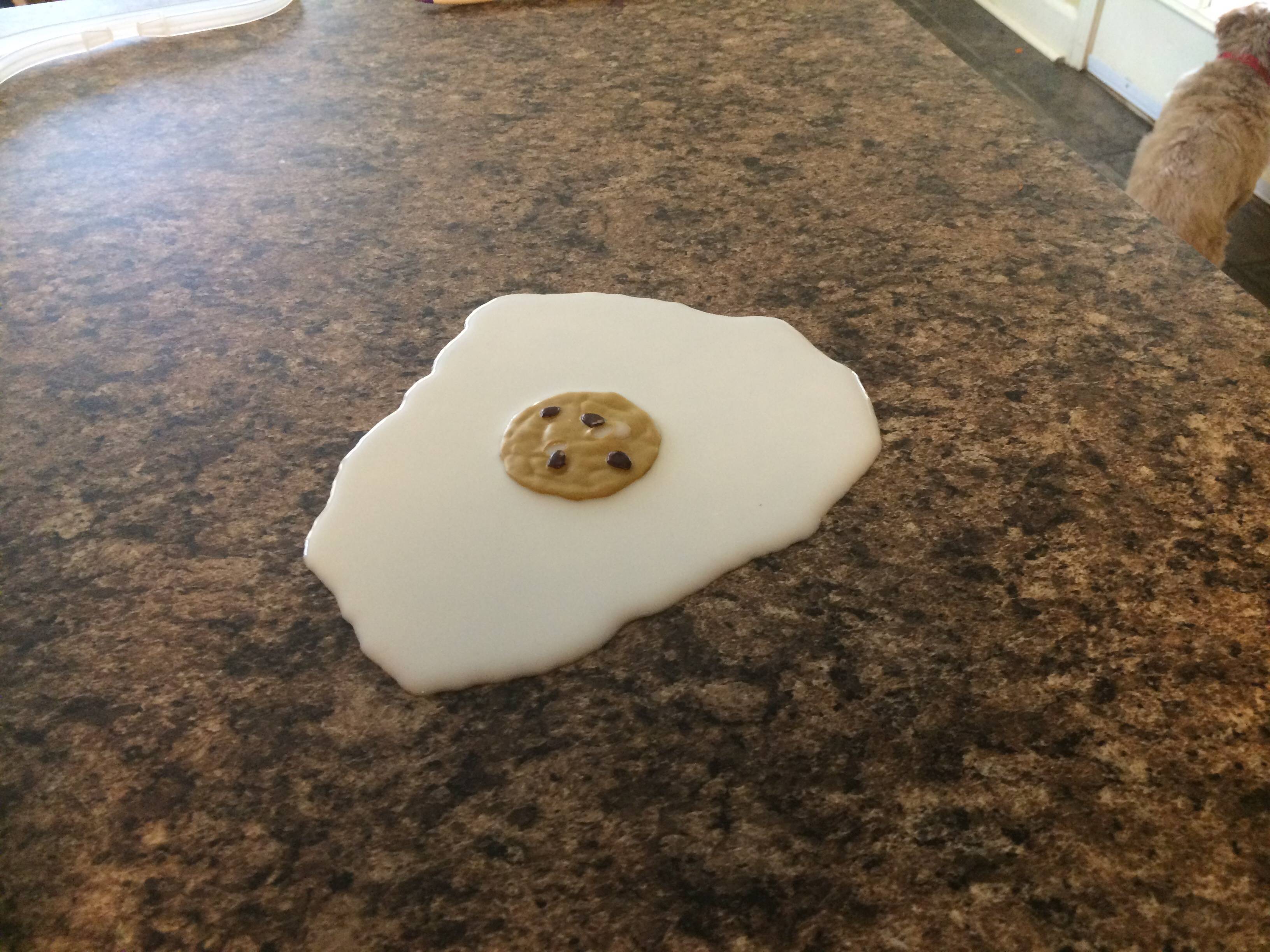 Cookie In A Milk Cup Imgur