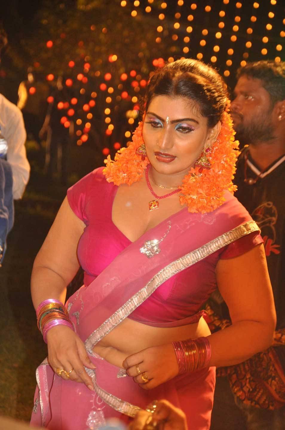 Hot Tamil Actress Babilona Pink Saree Photos Actress