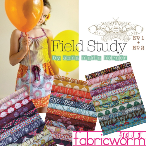 Field Study By Anna Maria Horner Is Available Now