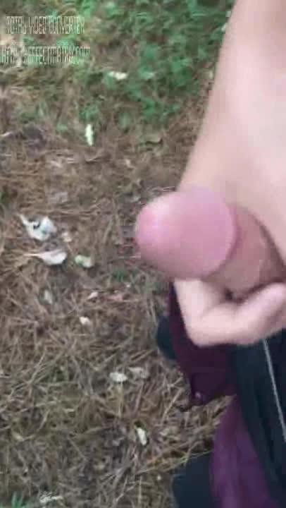 Jerking Off Next To A Parkalmost Getting Caught