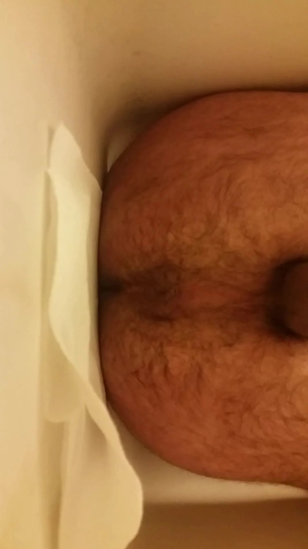 Hairy Ass Poo Gay Scat Porn At Thisvid Tube