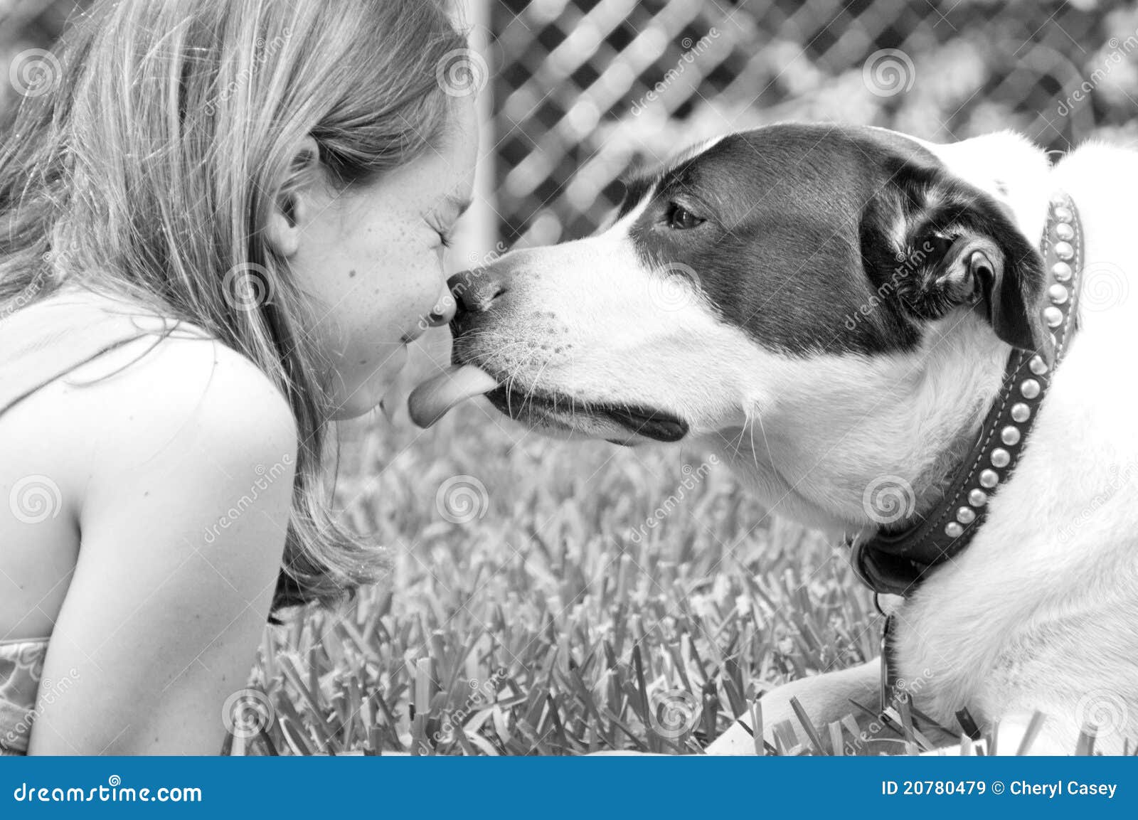 Dog Licking Girl Stock Image Image Of Kiss Girl Puppy 20780479