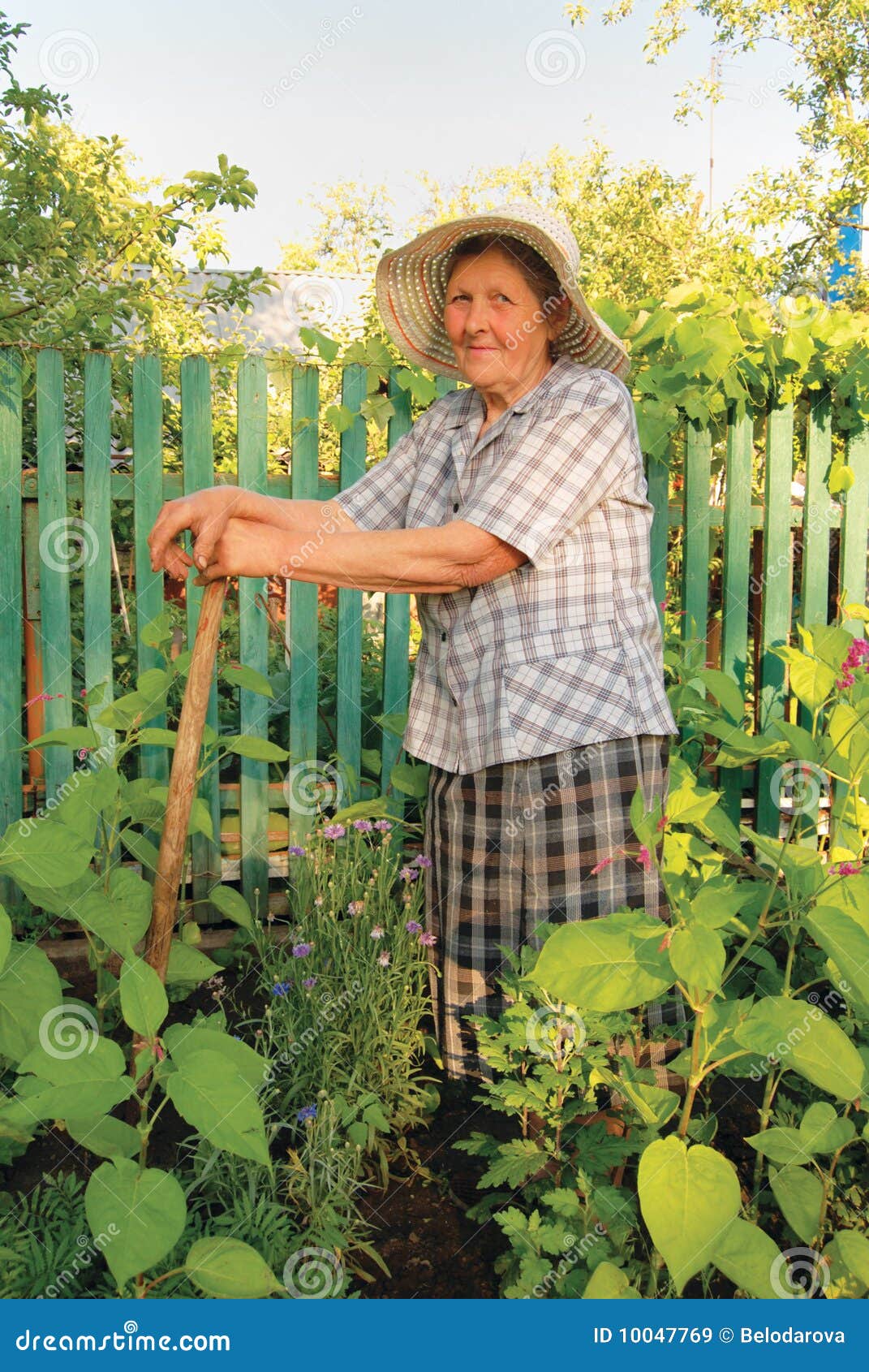 Old Woman Working In The Garden Stock Image Image Of