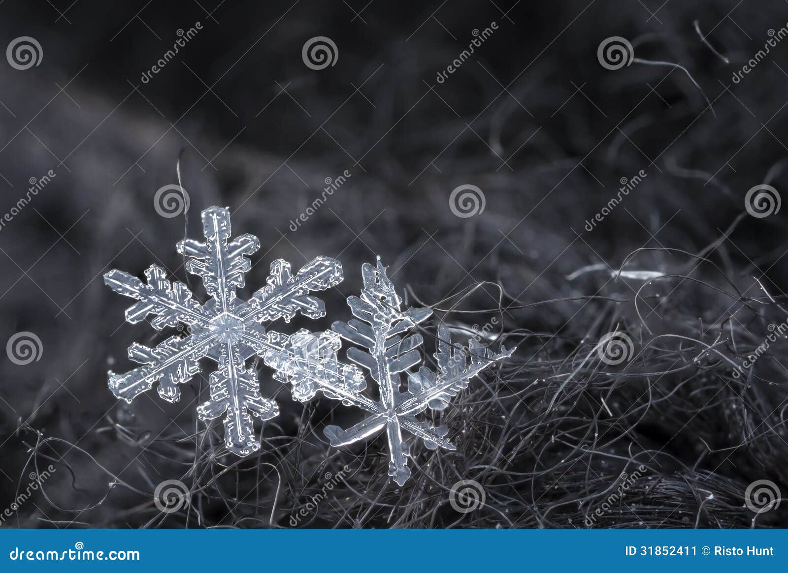 Snowflakes Closeup Stock Image Image Of Snowflake White