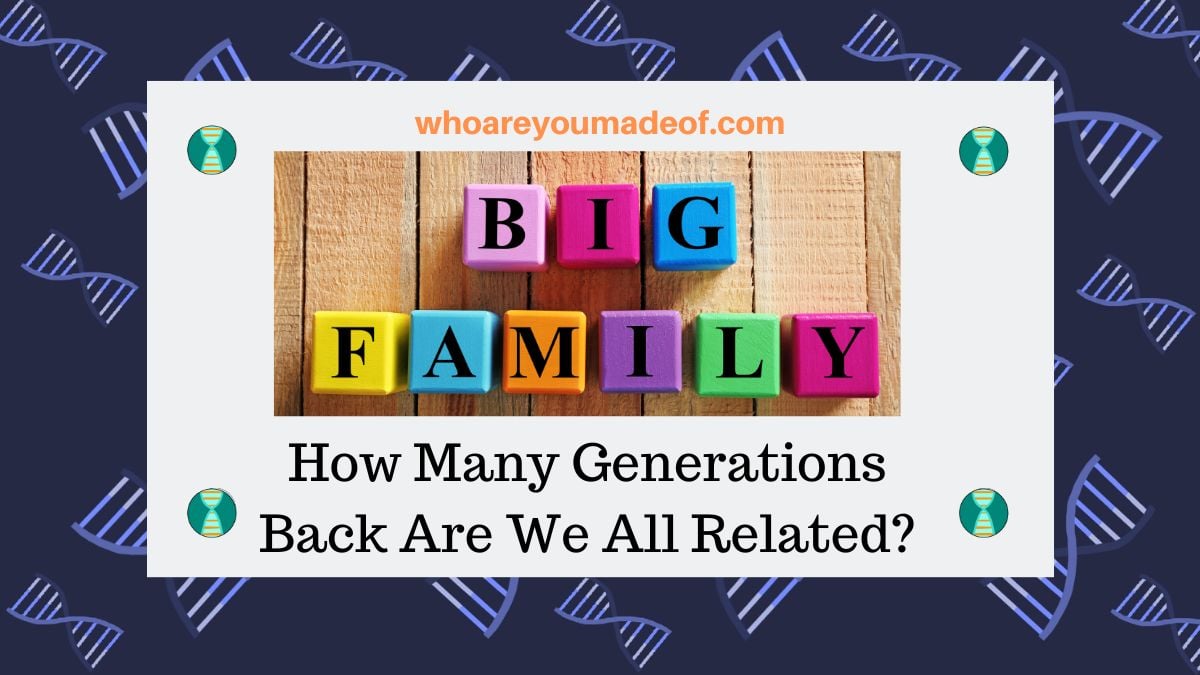 How Many Generations Back Are We All Related Who Are You Made Of