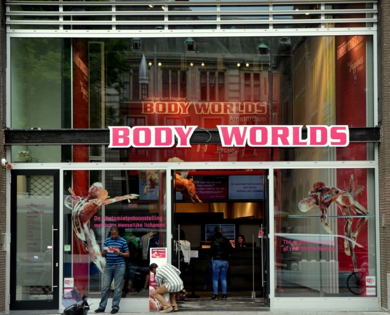 Body Worlds In Amsterdam