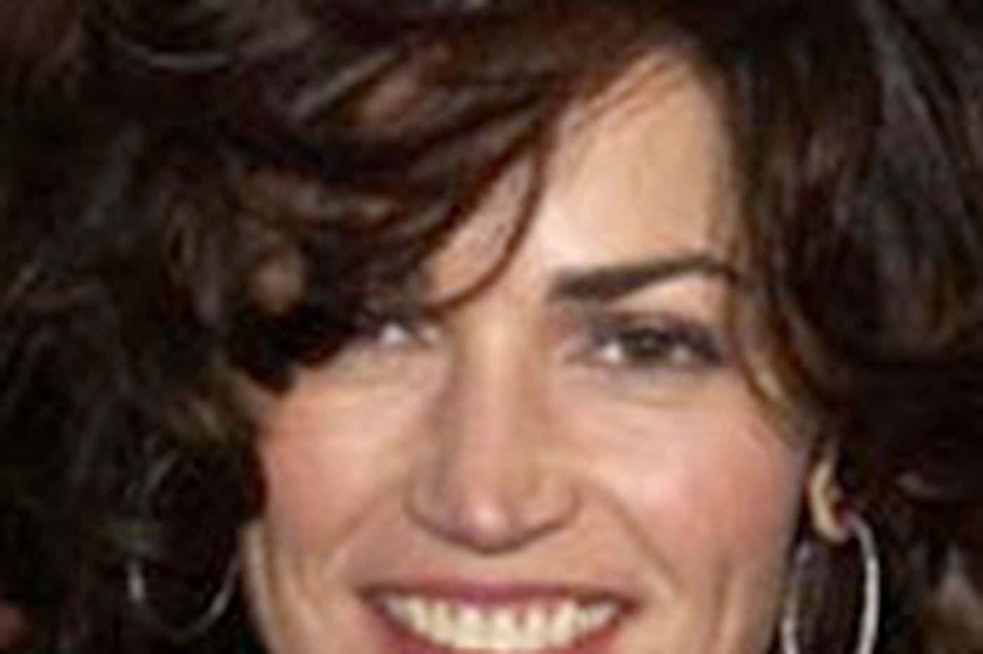 Ellen Gray For Kim Delaney Wives Is Just Another Job