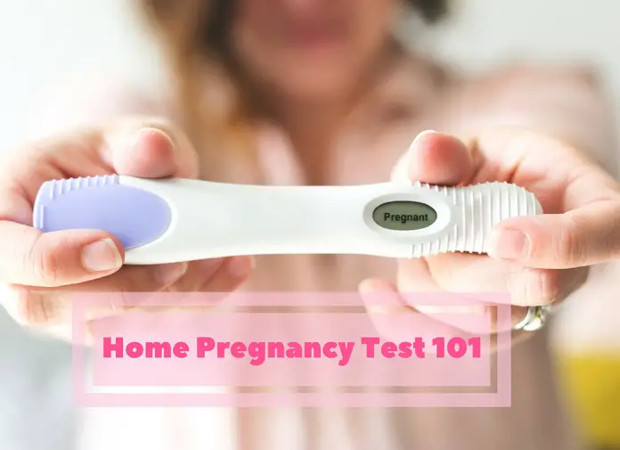 Home Pregnancy Test 101 Is A Home Pregnancy Test Accurate