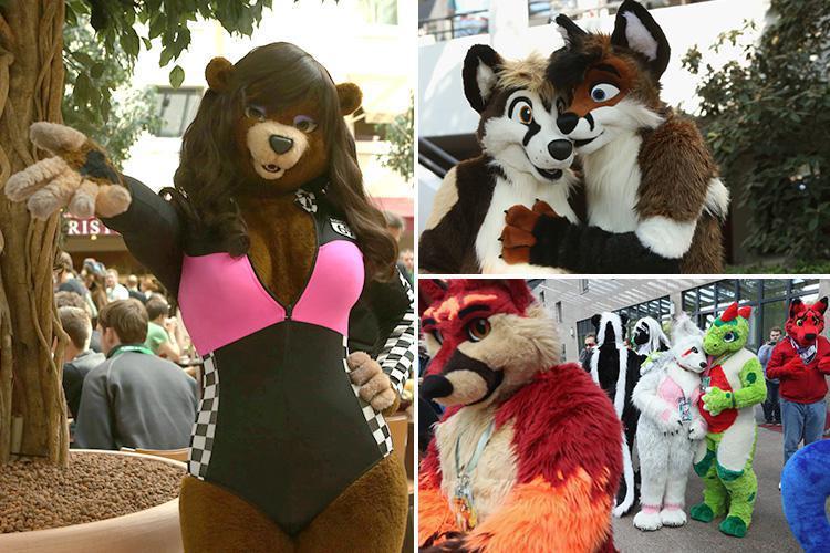 Inside The Weird World Of The ‘furry Fetish Where People