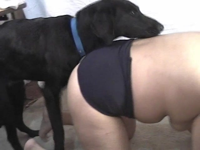 Black Dog Hardly Banged A Big Ass Whore From Behind Zoo