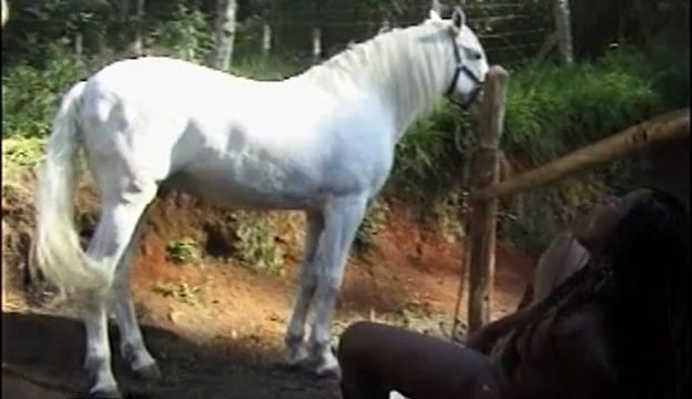 Canaries Takes Horses Cock Into Mouth And Pussy Zoo Tube 1