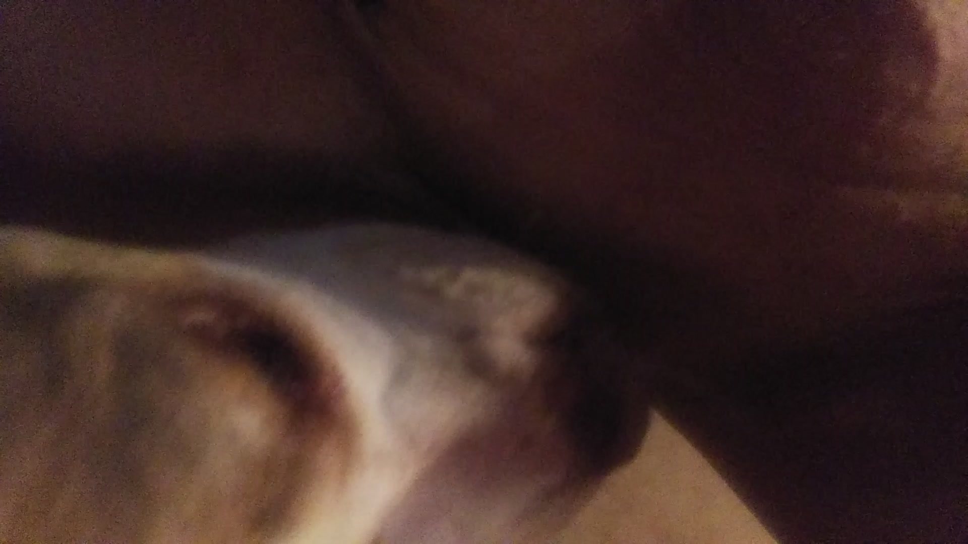 Licking Momma Pussy And Ass Zoo Tube 1
