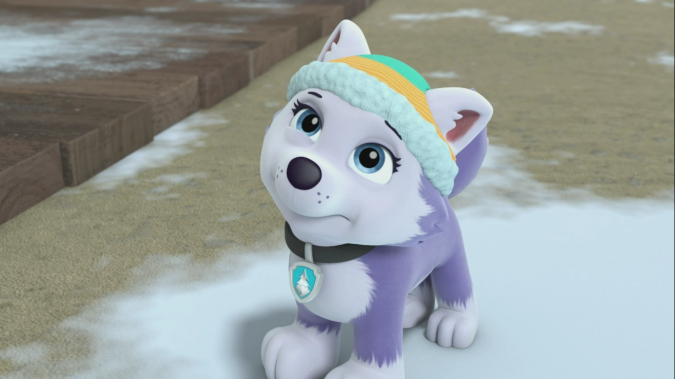 Everestgallerypups Save A Pizza Paw Patrol Wiki