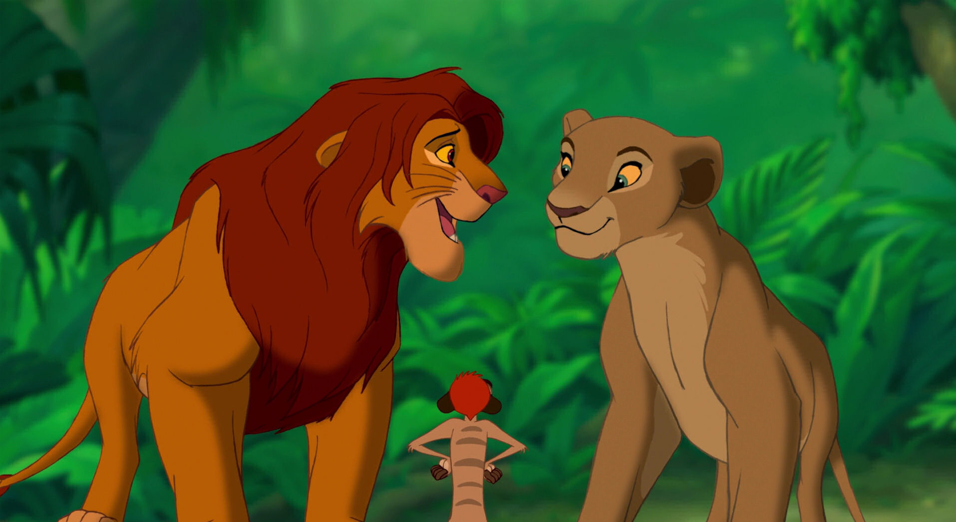 Image Simba Introduces Nalapng Disney Fanon Wiki