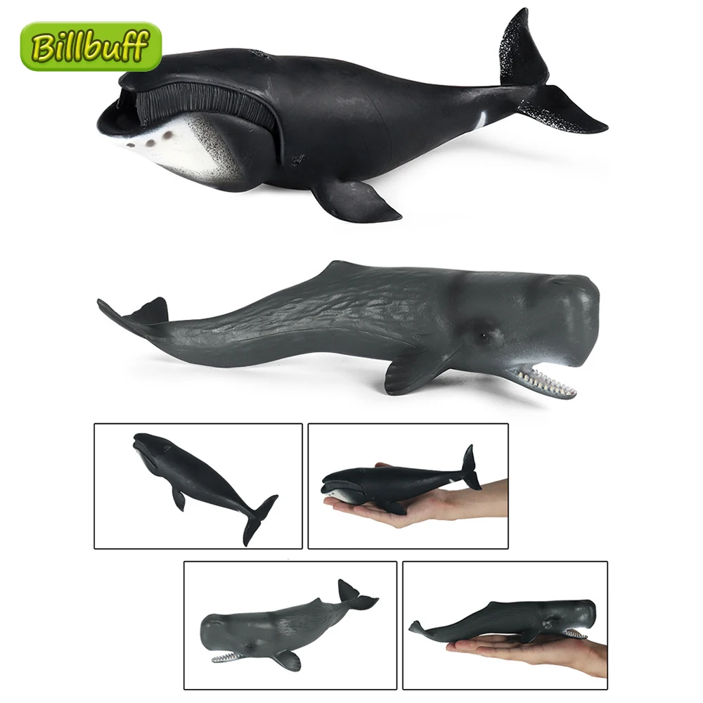 2021 Simulation Ocean Animals Plastic Action Model Bowhead Whale Sperm