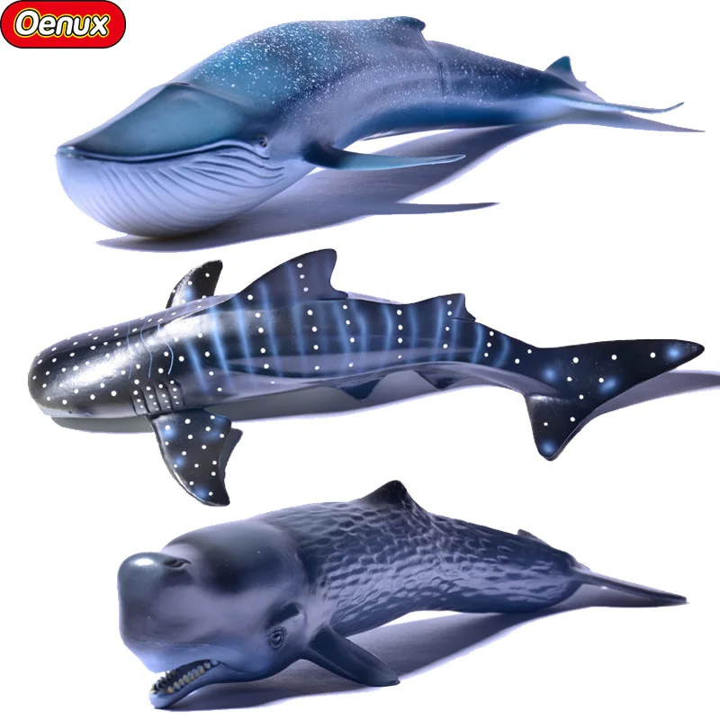 Oenux Sea Life Marine Animals Whale Shark Blue Whale Sperm Whale High