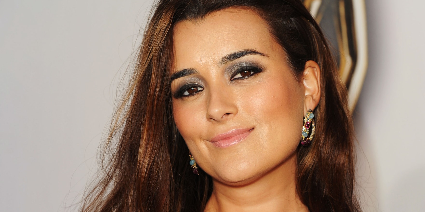 Is Cote De Pablo Married What Is She Doing Now Wiki Net Worth Age