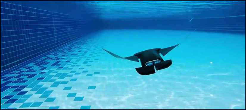 Mantadroid Aquatic Robot Swims Like The Manta Ray Fish