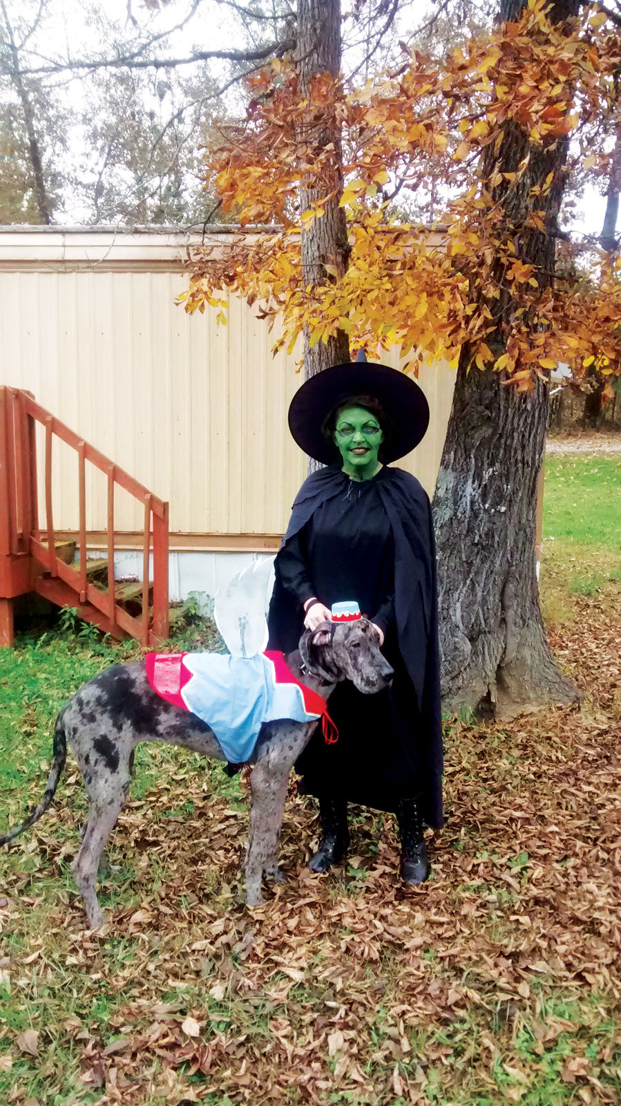 Calhoun Times Halloween Pet Costume Contest Winners The Calhoun Times