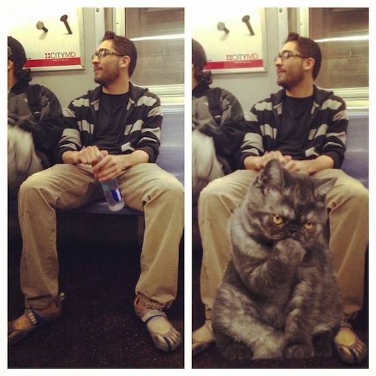 Tumblr Shows Guys Spreading Out On Subway Are Saving Room