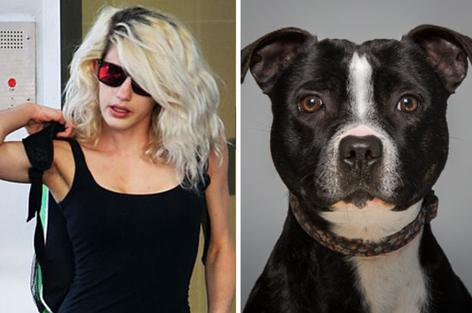 Bestiality Case Blonde Admits Sex With Pit Bull Dog In