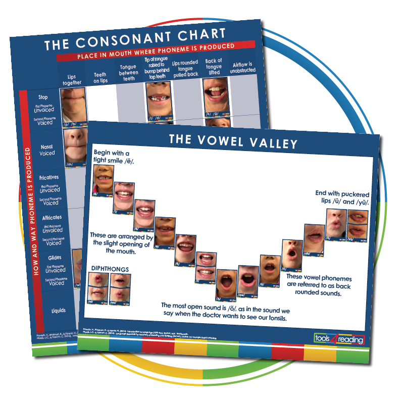 Consonant Chart And Vowel Valley Poster Set The Reading League Shop