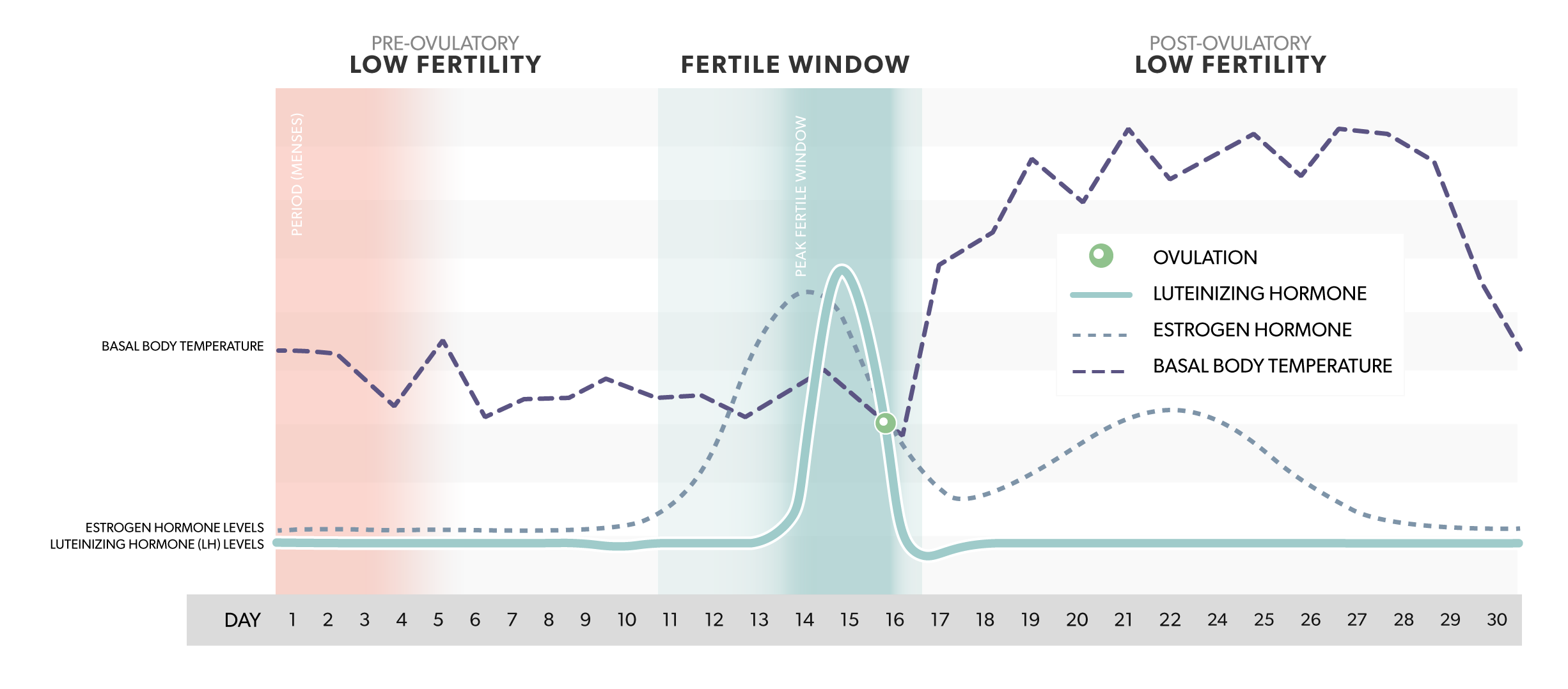Why Track Fertility Hormones Mira Fertility Tracker