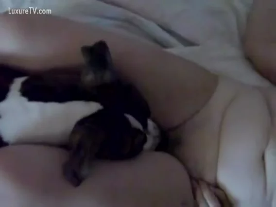 Mature Woman Using Her Dog For Sex Xxx Femefun