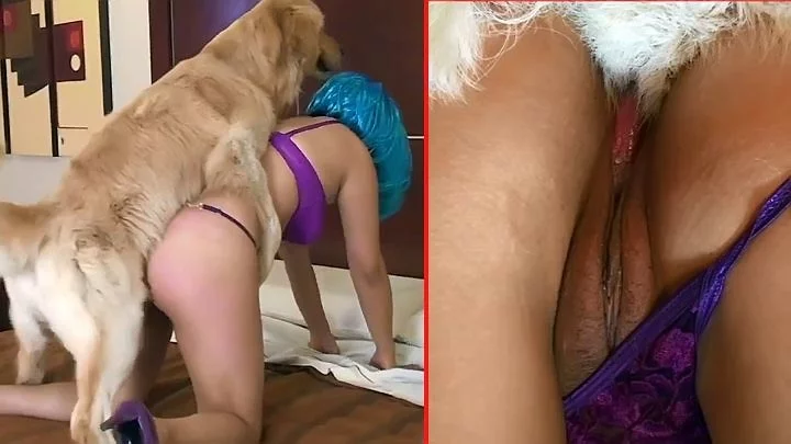 Xxx Dog Gives Slender Girl Indescribable Satisfaction