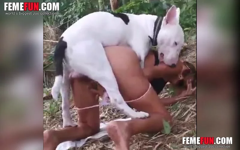 Dog Xxx Sex Sexy Wife Engaging In Hardcore Beastiality