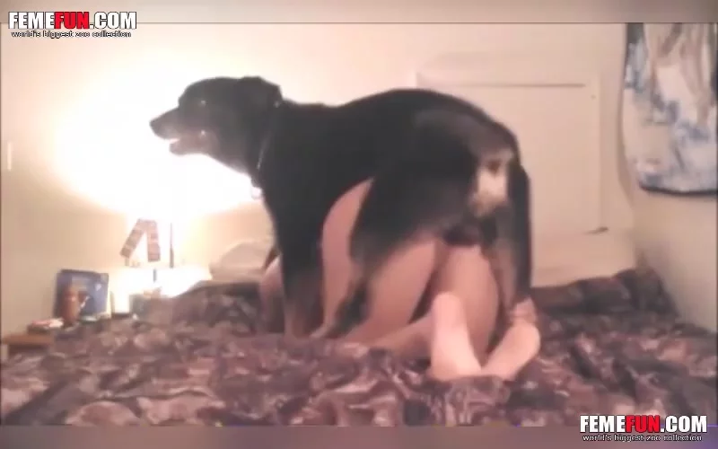 Horny As Hell Dog Fucks Masked Mom In Xxx Position Named