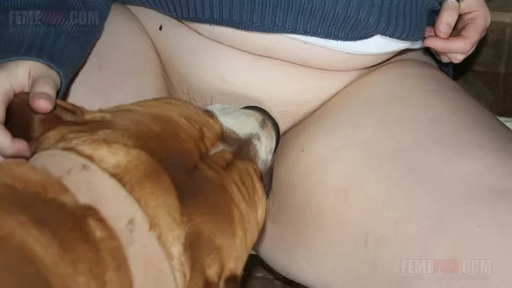 Dog Licks Moms Sweet Xxx Pussy Before Shoving Hard Penis Into It Xxx