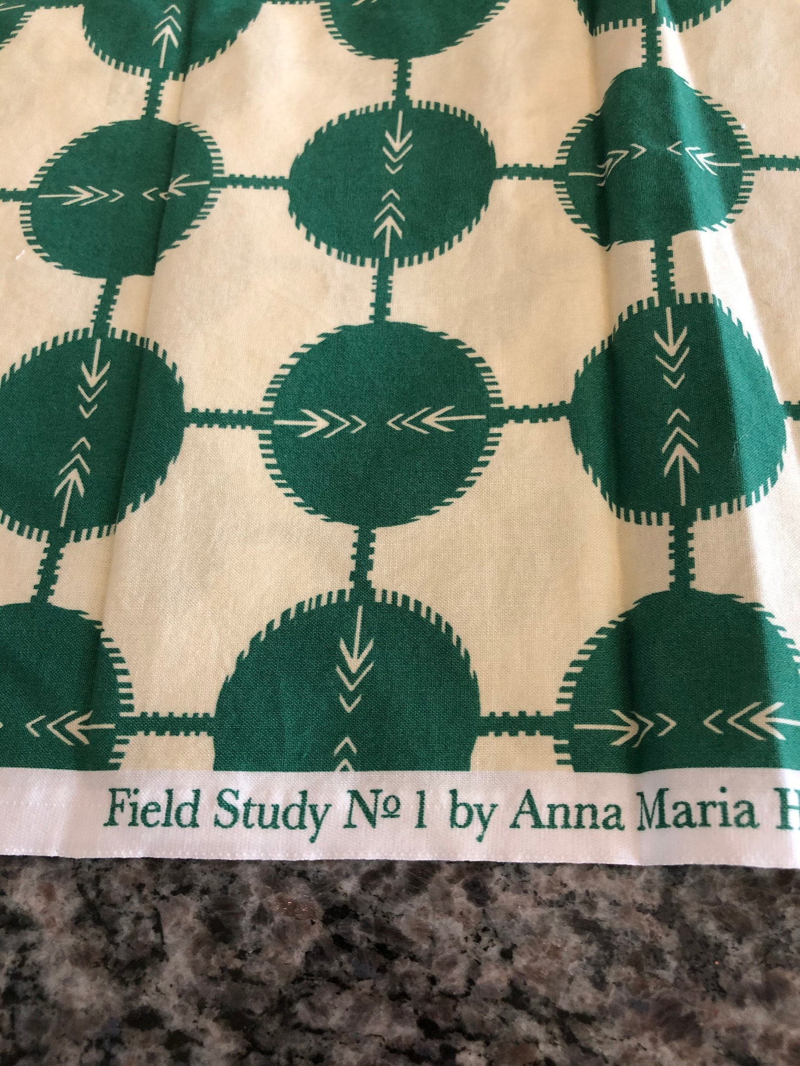 Field Study No 1 By Anna Maria Horner For Free Spirit Kelly Etsy