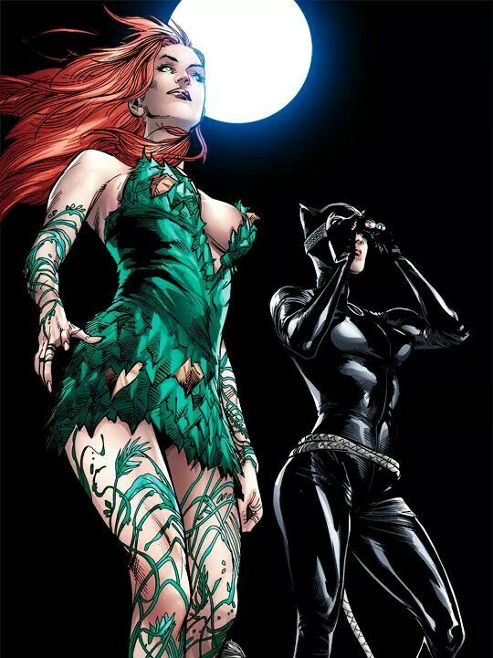Ivy And Catwoman Catwoman Superhero Wonder Woman