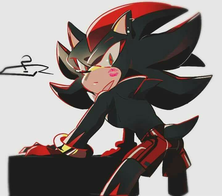Amy Shadow The Hedgehog Sonic And Shadow Shadow And Amy