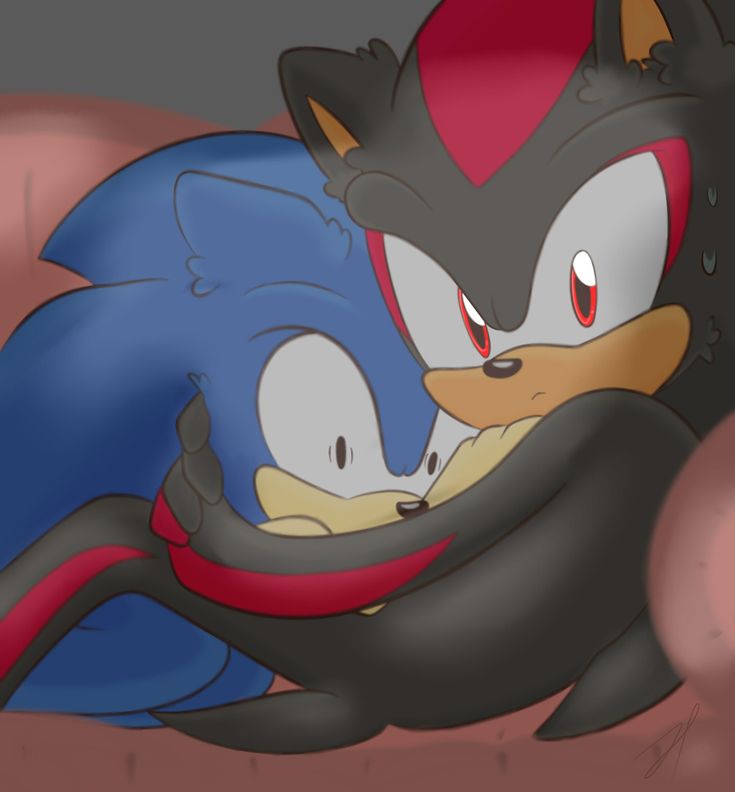 Sonadow Ewe Sonic And Shadow Sonic Shadow The Hedgehog