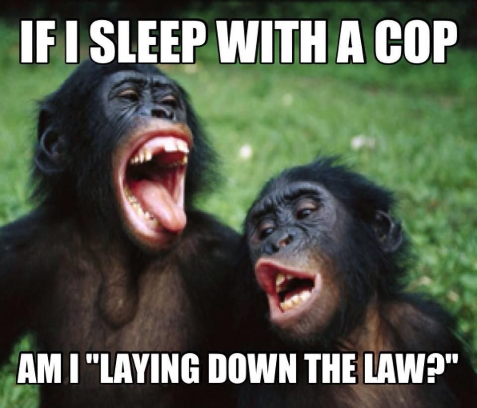 Yep Laying Down The Law Monkeys Funny Make Funny Faces Funny Faces