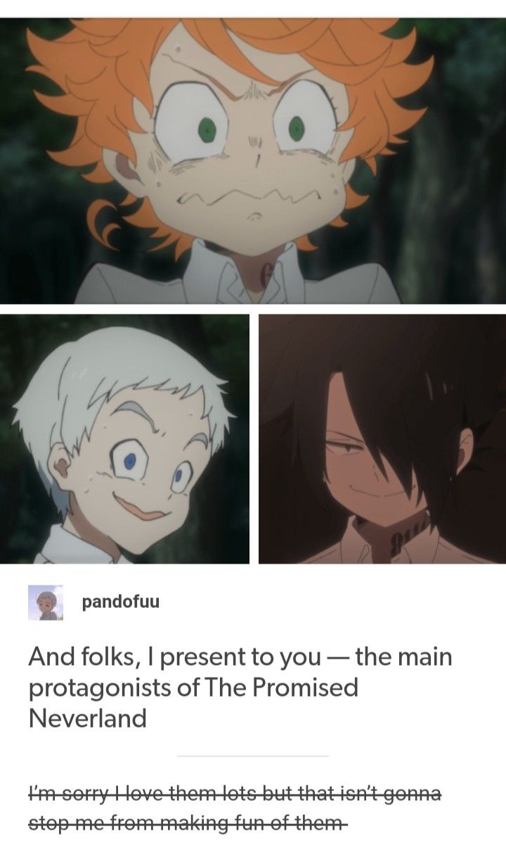 Emma Norman And Ray The Promised Neverland Neverland Funny Anime