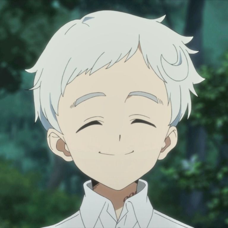 The Promised Neverland Norman Cute