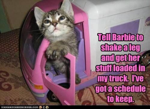 Tell Barbie To Move It Funny Cat Memes Silly Cats Cats