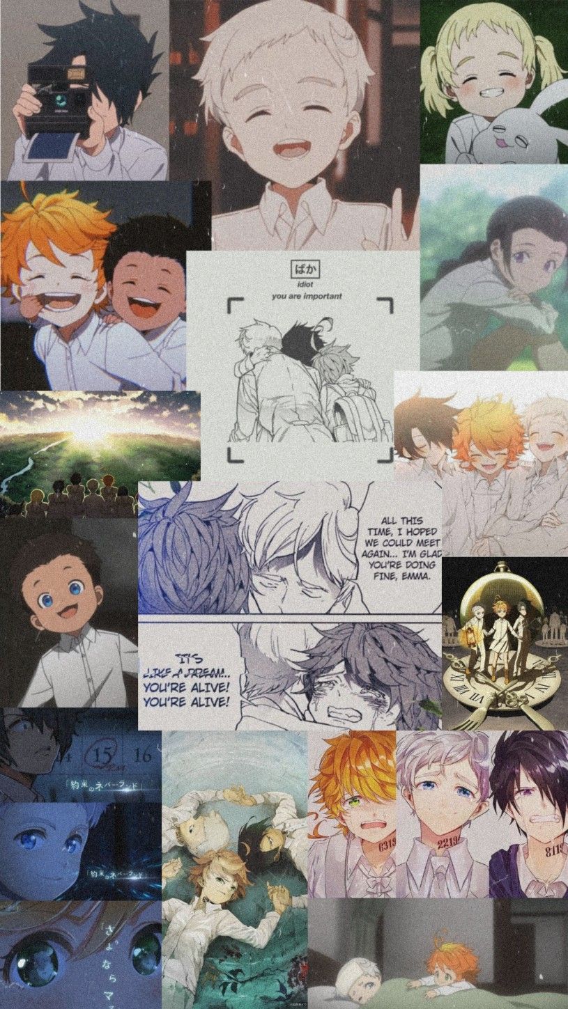 Promised Neverland Cute Anime Wallpaper Anime Wallpaper Neverland Art
