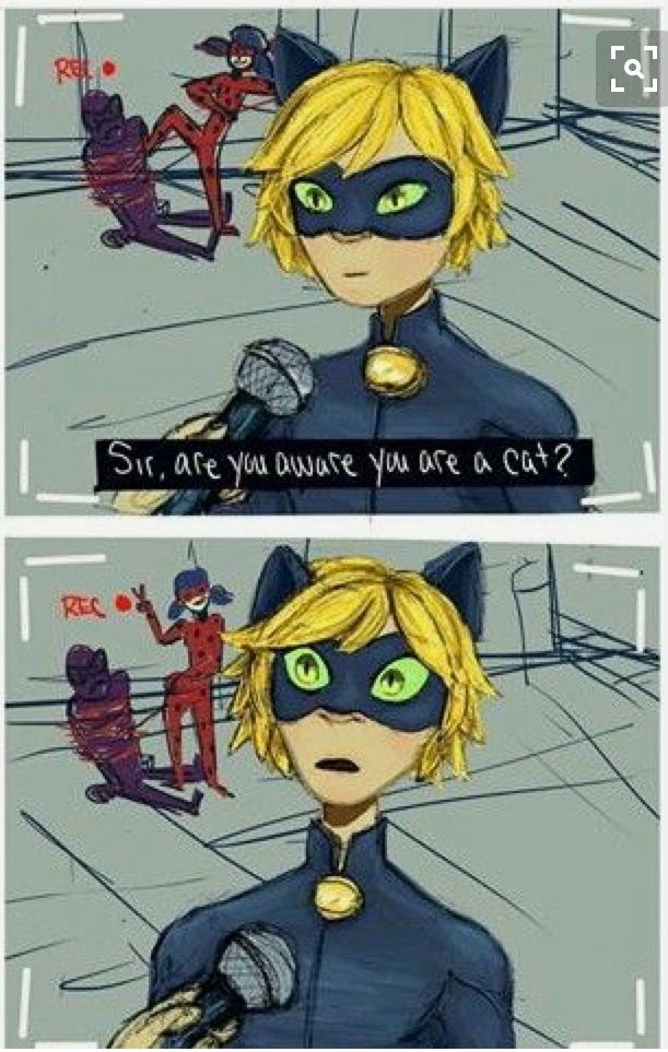 Pin By Heraiam On Miraculous Ladybug And Chat Noir Miraculous